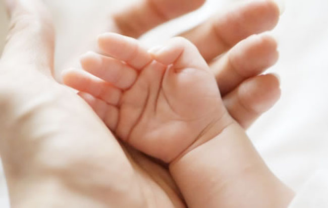 赤ちゃんと大人の手