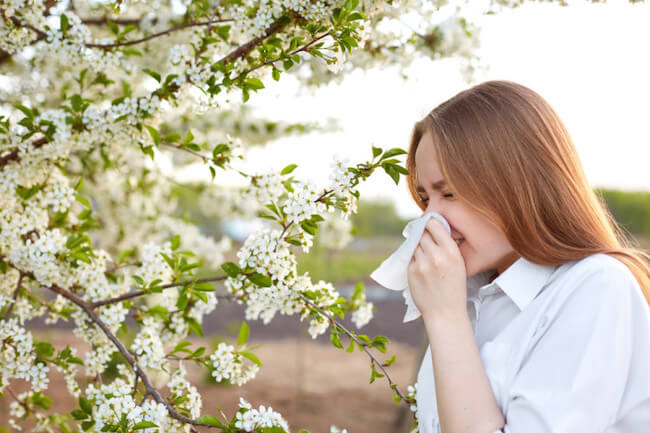 ティッシュで鼻を噛む花粉症の女性