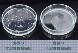 海藻や大麦などに含まれ水に溶ける「水溶性食物繊維」と、野菜に含まれる水に溶けない「不溶性食物繊維」