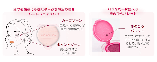 ジョンセンムル『アーティストクッションブラッシュ』_2