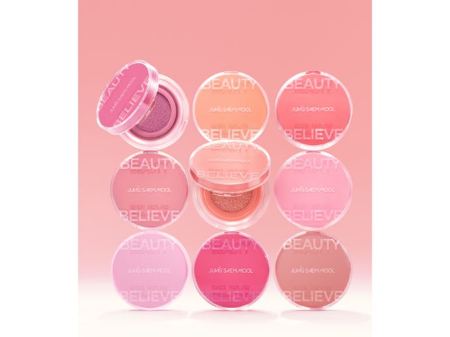 ジョンセンムル『アーティストクッションブラッシュ』_3